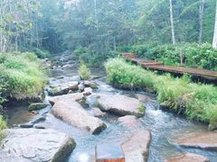 -汤旺河林海奇石景区
