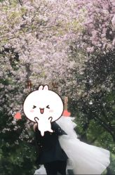 -伊莎贝拉婚礼庄园(顾村店)