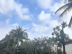 -三亚亚龙湾红树林度假酒店