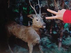 -呼伦贝尔民族博物馆