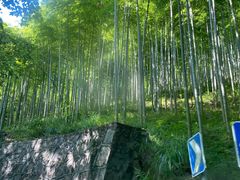 -莫干山风景区