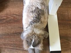 -雨林宠物医院 非犬猫异宠专科
