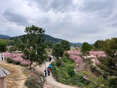 -塔川景区