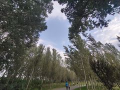 -东郊湿地公园
