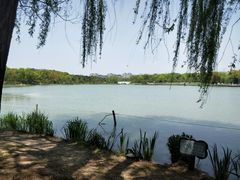 -昆山城市生态森林公园