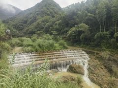 -芦茨金富饭庄·25年老字号·专做稻草鸡
