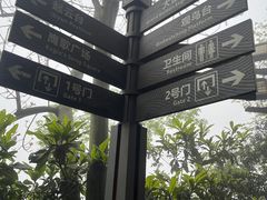 -大金鹰园