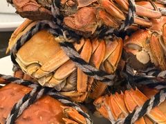 -东吴水韵(吴中店)