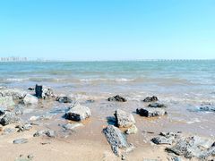 -海堤纪念公园