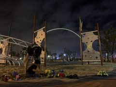 -春花秋色城市公园