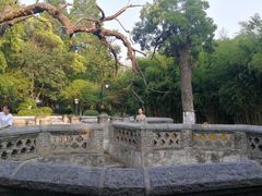 -习家池