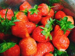 -家辉生鲜超市(东五路店)