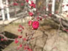 -西宁市人民公园(城西区)