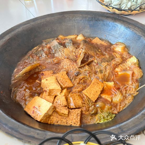 森林地锅鱼