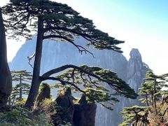 -黄山风景区