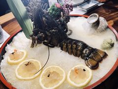 -石葵(锦业时代店)