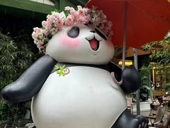 -轩客会(熊猫书店)