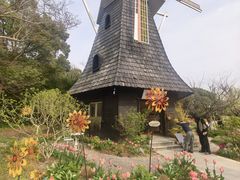-上海鲜花港