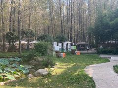 -林间山庄