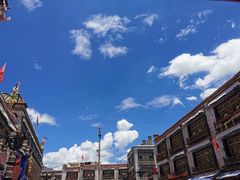 -古树酸奶(八廓南街店)