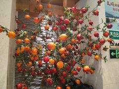-诺筵汤品·菌汤火锅(南河坝店)