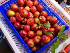 -呼吸森林·生态农庄农家乐私房菜