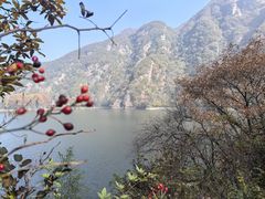-秦岭终南山世界地质公园翠华山景区