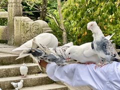 -丹东凤凰山景区