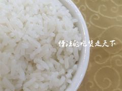 米饭-喜运来酒楼(江南大道店)