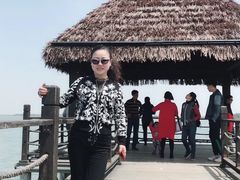 -瑶湖郊野森林公园