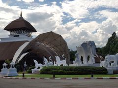 -清迈夜间动物园