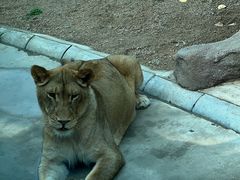 -北京野生动物园