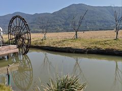 -溪口-滕头旅游景区