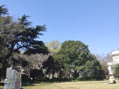 -中国福利会少年宫