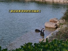 -泉城欧乐堡梦幻世界