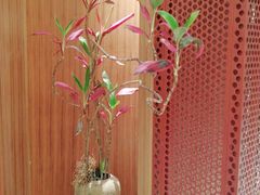 -二酉书店TOYOU BOOKS