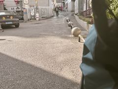 -白沙古井