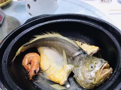 砂锅黄花鱼-勝記酒家·37年老字号·经典粤菜(荔枝公园店)