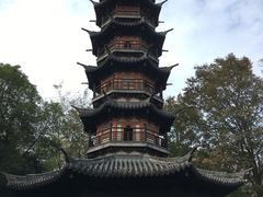 -上海佘山国家森林公园西佘山园