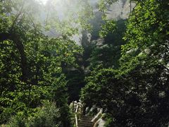 -嵩山少林文化旅游景区