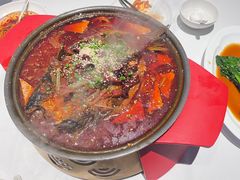 -眉州东坡(望京店)