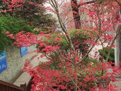 -贮水山儿童公园