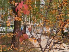 -元大都城垣遗址公园