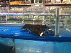 -麦德龙(张家港店)