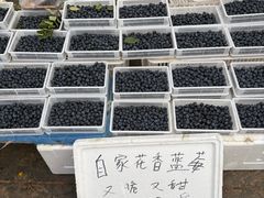 -南坛综合农贸市场