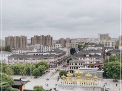 -上海东林寺(金山区)