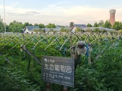 -扬州天乐湖嬉乐谷