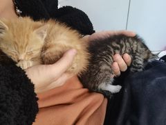 -百金通黄金回收首饰定制维修(珠江路总部)