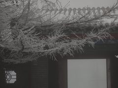 -崂山巨峰游览区
