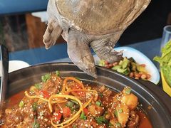 -鳖皇甲鱼餐厅(平阳路店)